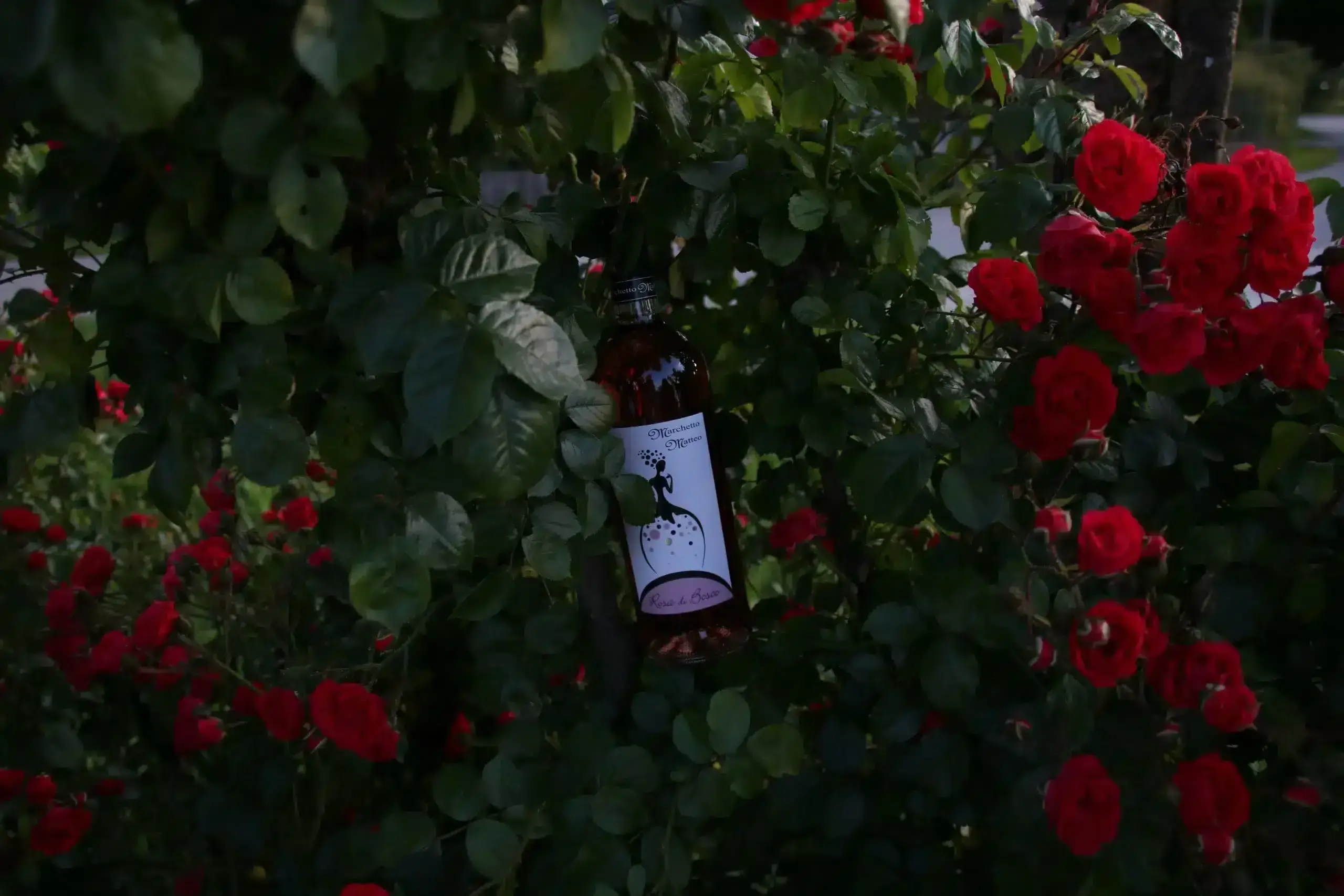 Contatti az agricola Marchetto Matteo