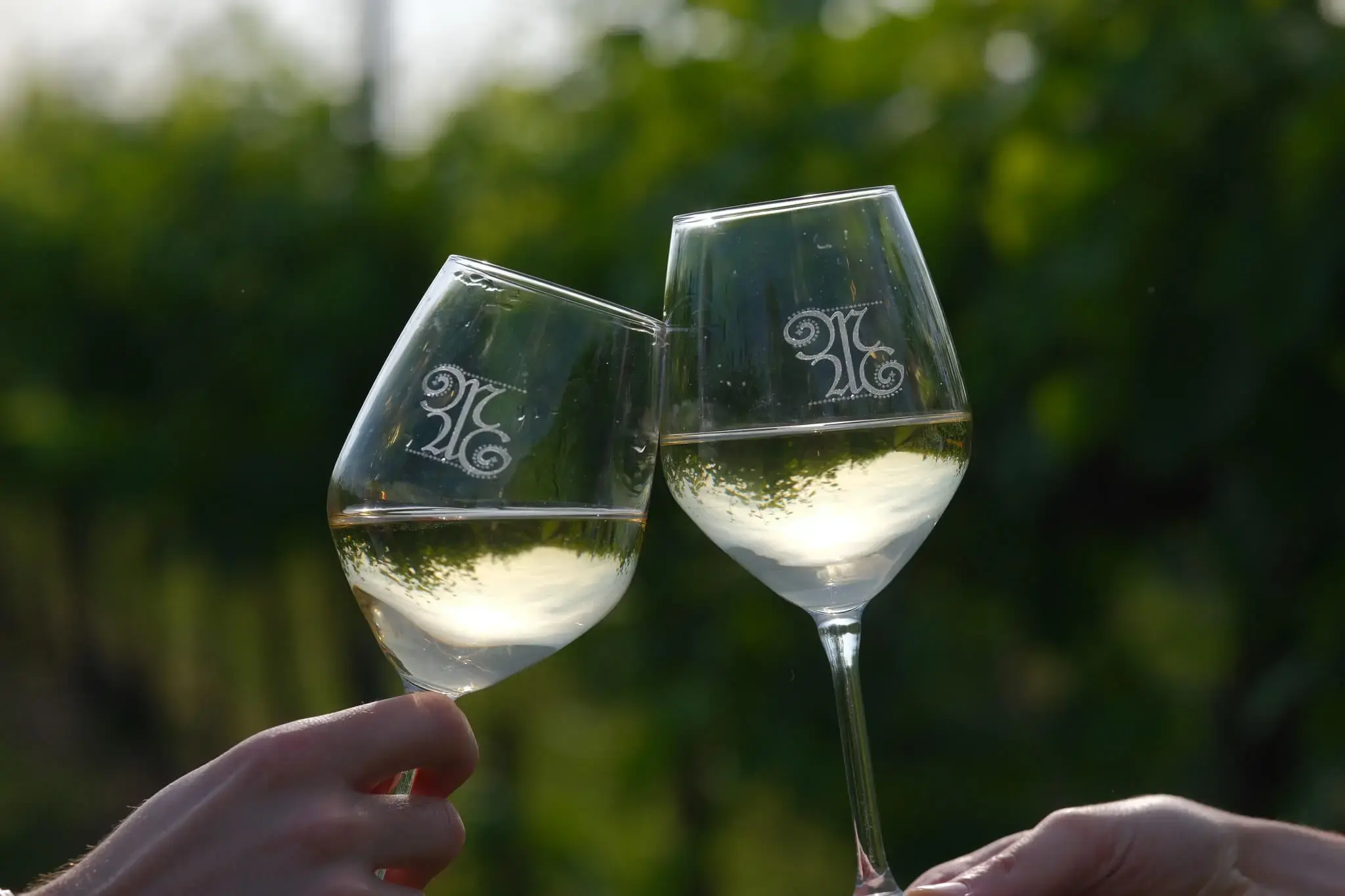 Orari azienda agricola Marchetto Matteo